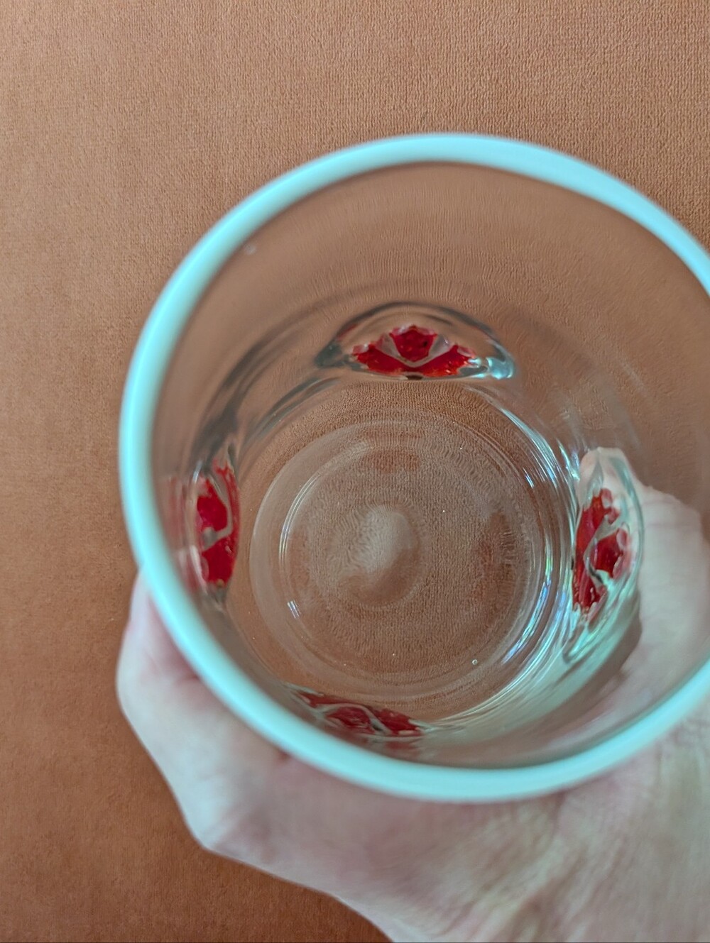 Anthropologie Icons Glass, Clear with Red Maple Leaf Accents - Picture 6 of 9